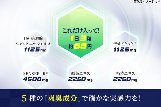 シャンピニオン サプリ エチケアplus 1袋 90粒 約3ヶ月分