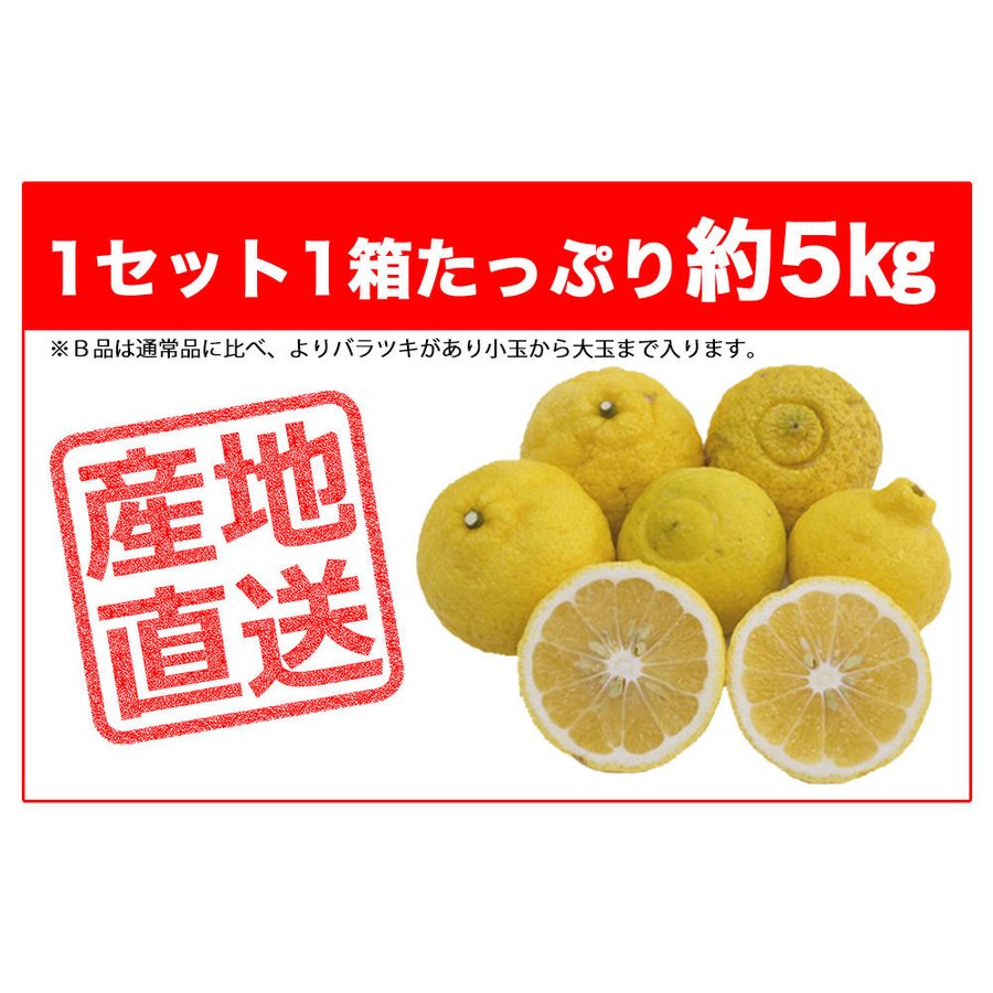 はるか 5kg 果物 産地直送 愛媛県産 B品