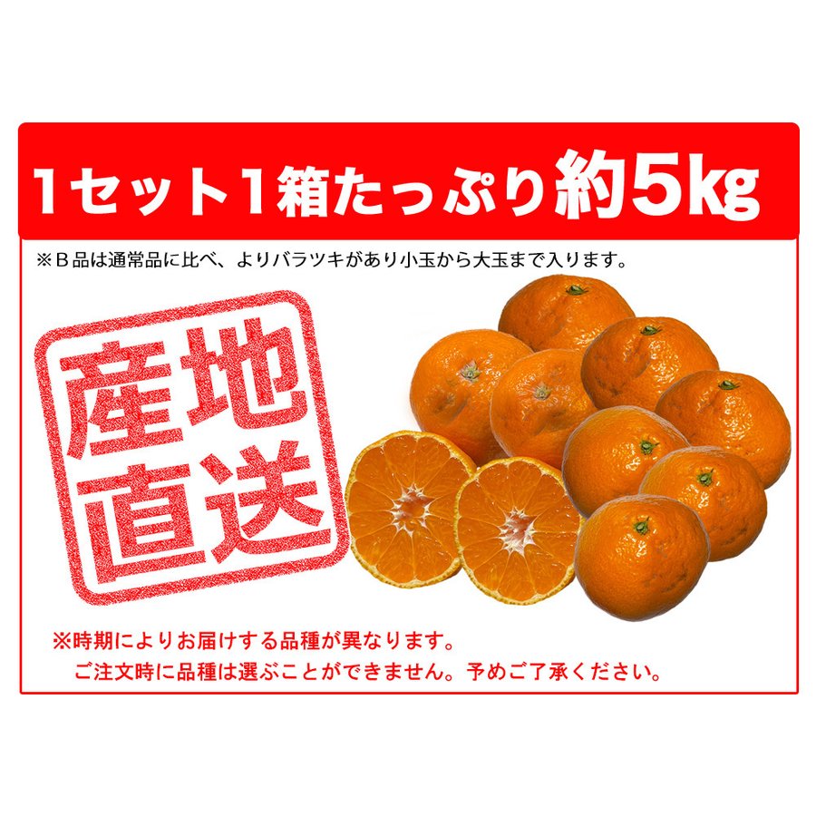 温州みかん 訳あり 5kg