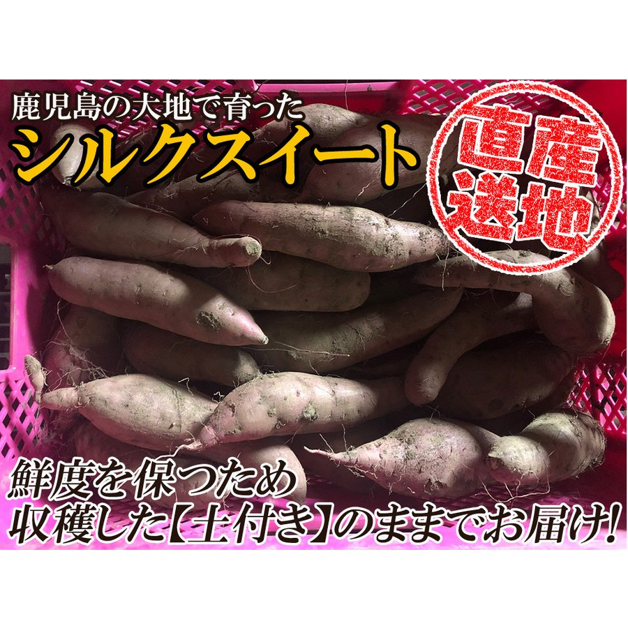 【最安値挑戦祭】シルクスイート さつまいも 5kg 産地直送 産直 土付き さつま芋 薩摩芋 焼きいも 焼き芋 鹿児島県産 FJK-001