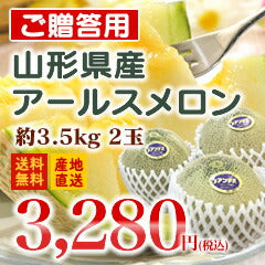 【送料無料★発送は9月中旬から】山形県産メロン(アールス)約3.5kg・2玉※一部地域は別途送料