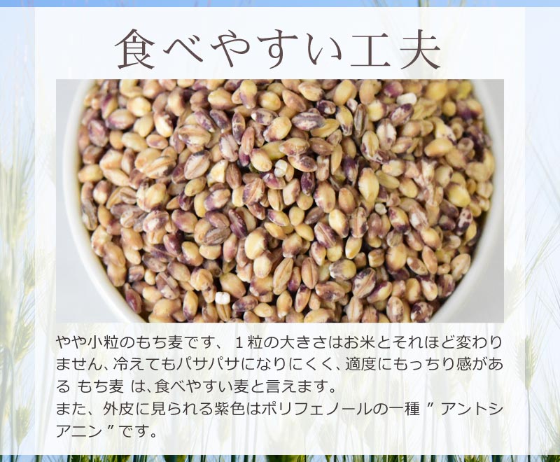 もち麦 国産 900g ダイシモチ 茶紫色 雑穀 送料無料
