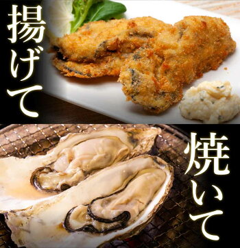合計2kg 3L(9-14個) 北海道産 生牡蠣 厚岸産 産地直送