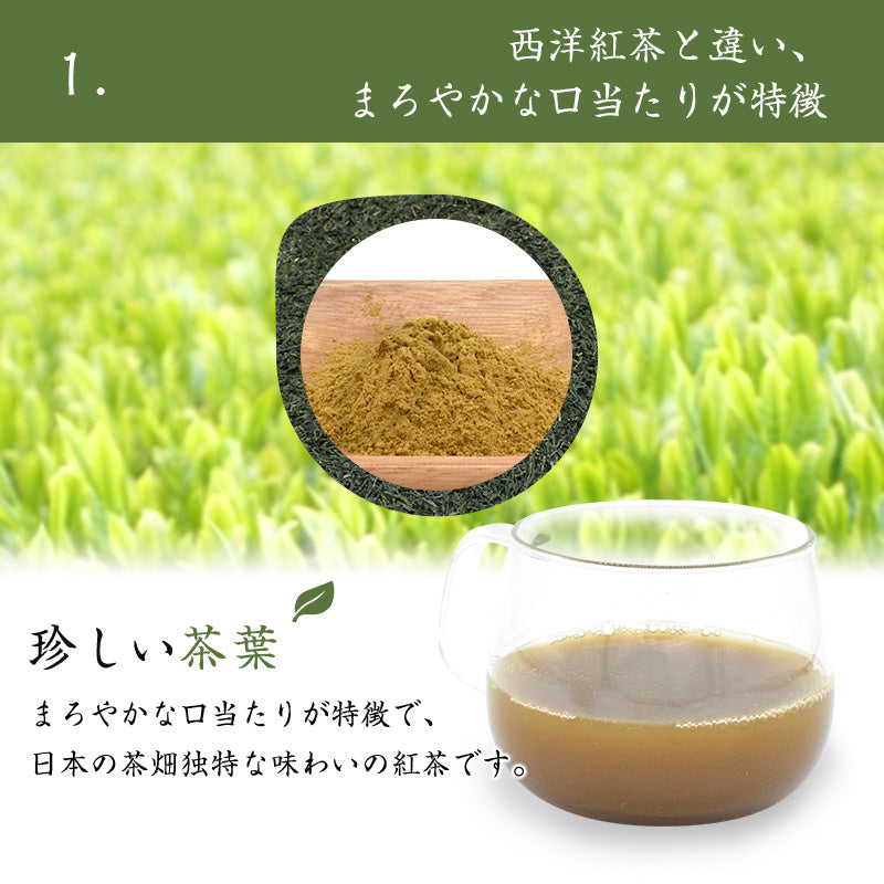 100g おためし 紅茶 日本茶 宇治産 粉末