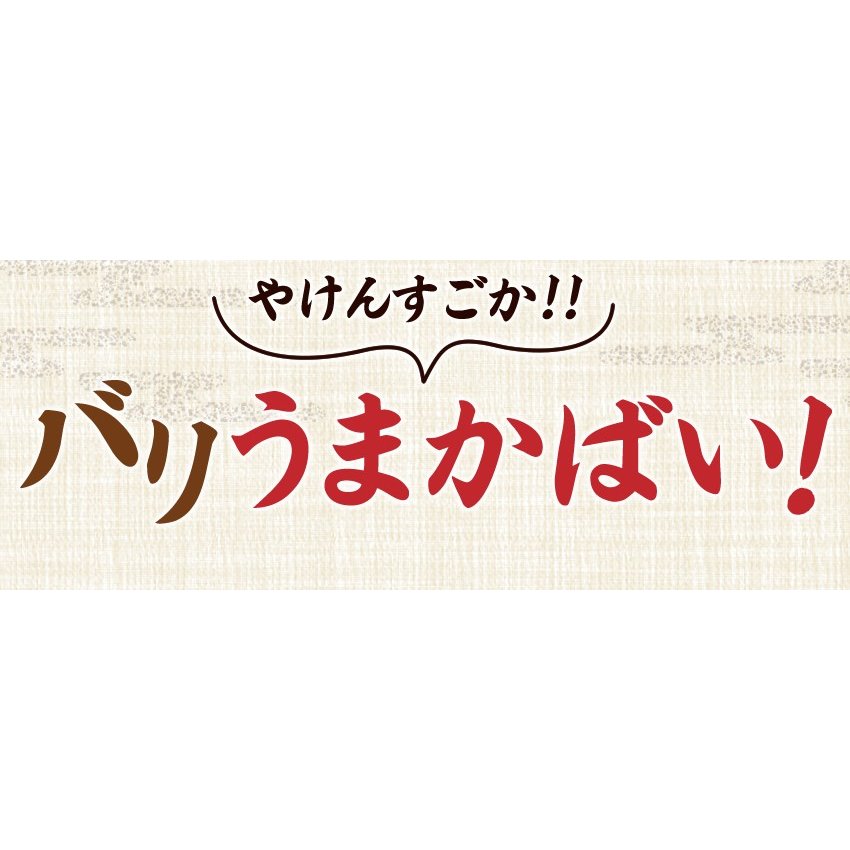 九州高菜2袋セット 明太子高菜&直火高菜セット