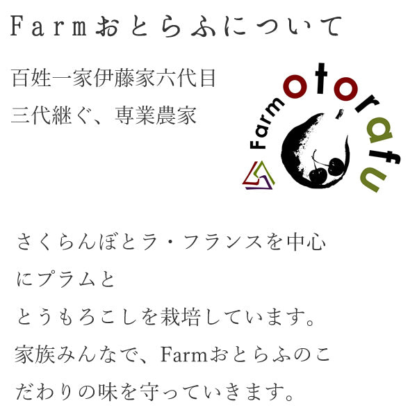 お歳暮 御歳暮 ギフト 送料無料 山形県寒河江産 洋梨ラフランス約3kg(8〜9玉) のし対応 お歳暮 ※九州・沖縄・一部離島を除く