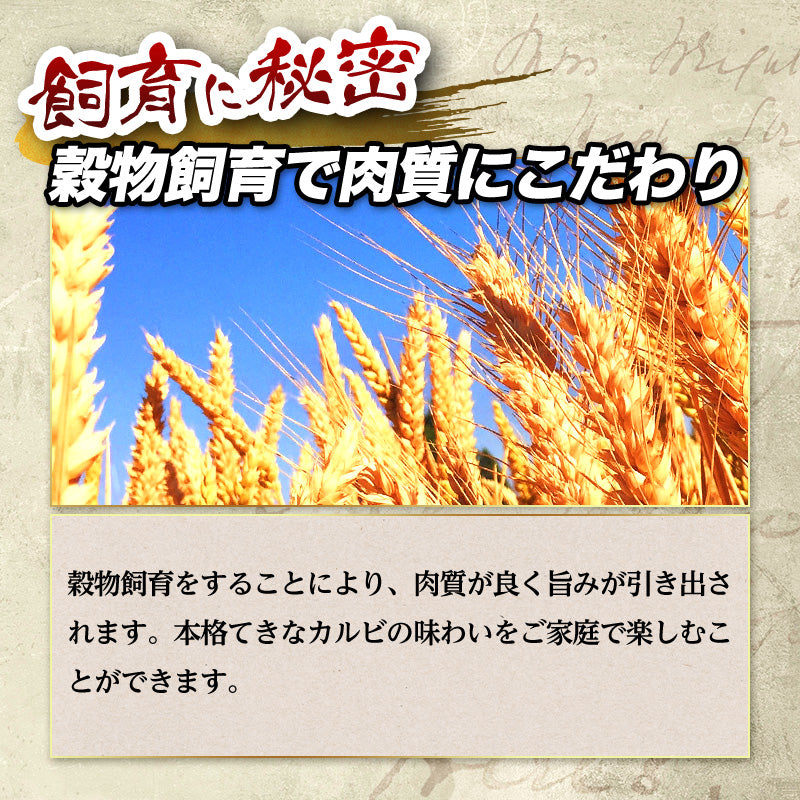 1kg カルビ 肉厚 焼肉