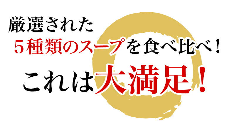 北海道ラーメン 5食セット