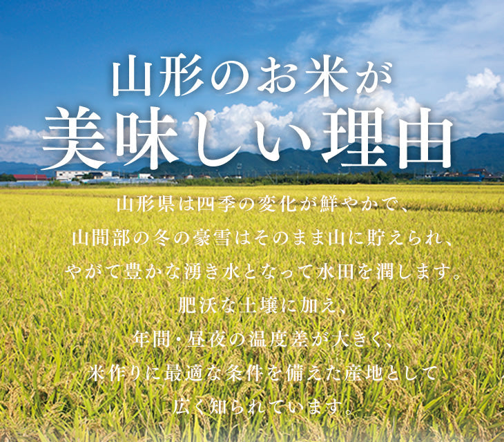 令和4年 山形県産つや姫精米20kg(5kg×4)