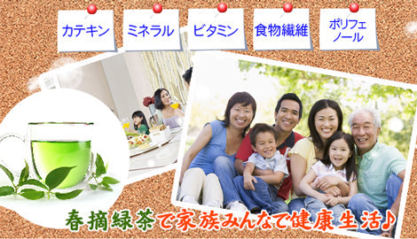 緑茶 粉末 90g (大容量450杯分 ペットボトル180本分) LOHAStyle(ロハスタイル)