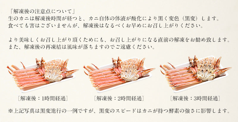 ズワイガニ お刺身 OK 生 カット済み 600g(総重量750g)