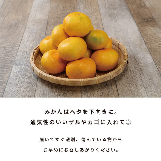 みかん10kg訳あり佐賀みかん10kg未選別Sサイズ〜3Lサイズ詰合せ家庭用4〜5個(300〜400g)