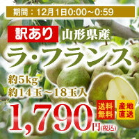 【訳あり★送料無料】山形県産ラ・フランス★(約5kg・14〜18玉入り)★※九州・沖縄・一部離島を除く