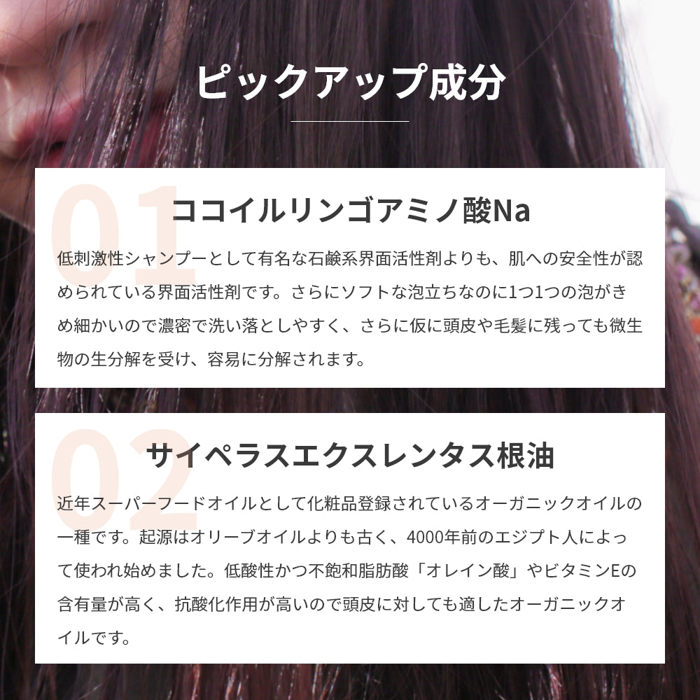 シャンプー トリートメント セット ダメージケア GRACE HOME BEAUTY No.02 各500ml