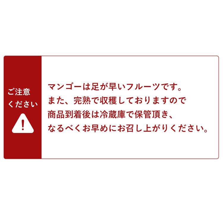 【50人シェア買い企画】マンゴー 沖縄 完熟マンゴー 良品 1kg 2〜3玉 糖度14度選果 今帰仁村 産地直送 あけのフルーツ アップルマンゴー