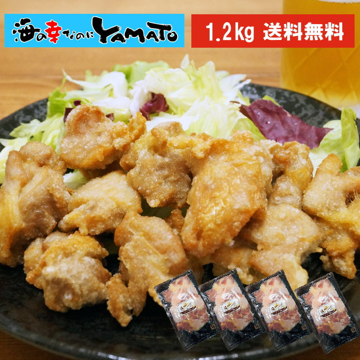 塩ザンギ 300g×4パック 鶏の唐揚げ 北海道風 冷凍食品 おつまみ 惣菜 お酒のお供 お弁当 おかず ざんぎ から揚げ 唐揚げ 唐揚 国産