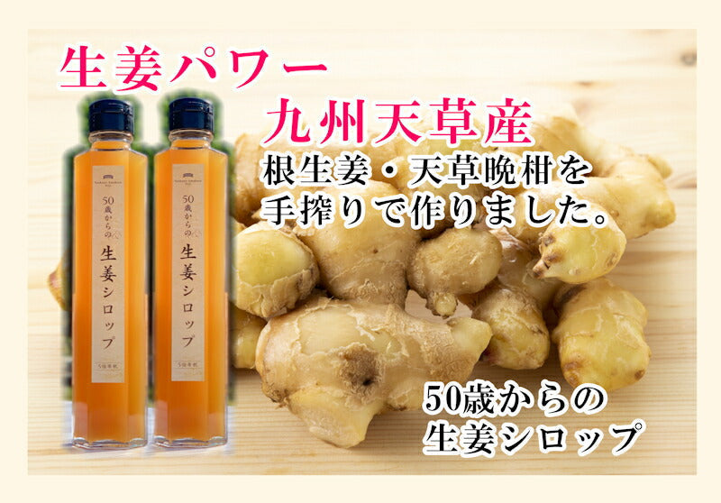 【果実飲料 生姜シロップ 体調管理】熊本県 天草市 食の天草にじ50歳からの生姜シロップ 5倍希釈 2本天草産の天草晩柑 根生姜 純正蜂蜜使用送料無料【飲料 野菜 ジュース ギフト】