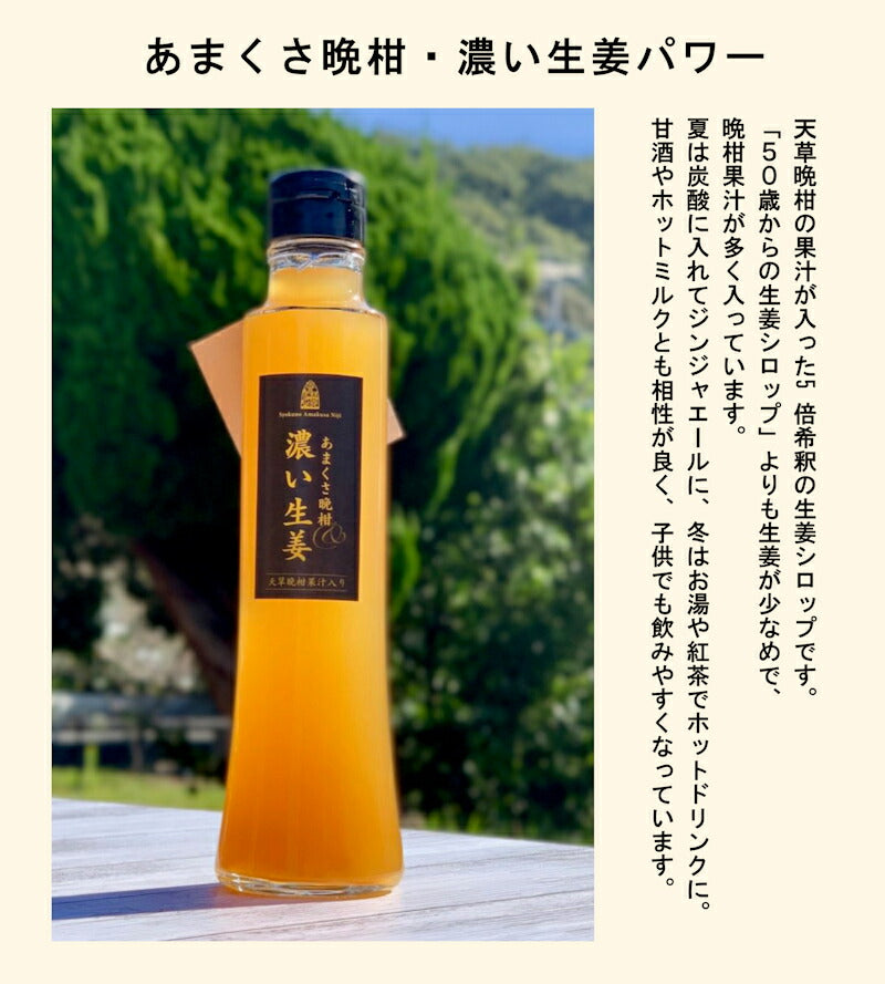 【果実飲料 ジュース 生姜シロップ】熊本県 天草市 食の天草にじあまくさ晩柑&濃い生姜 5倍希釈 3本天草産の天草晩柑 根生姜 純正蜂蜜使用送料無料【お中元 飲料 野菜 ギフト】