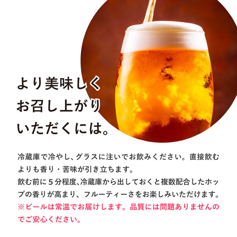 クラフトビール 季節限定 【熊本県産「河内晩柑」をギュッと生搾り】 CRAFTX シトラスバケーション 6瓶【ブラックフライデー・サイバマンデー特別価格】