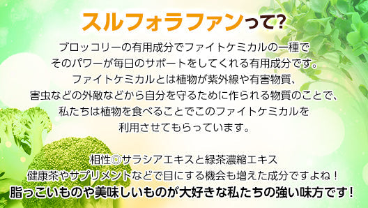 ブロッコリースプラウト スルフォラファン サプリメント アルコラファン 90粒(45日分)