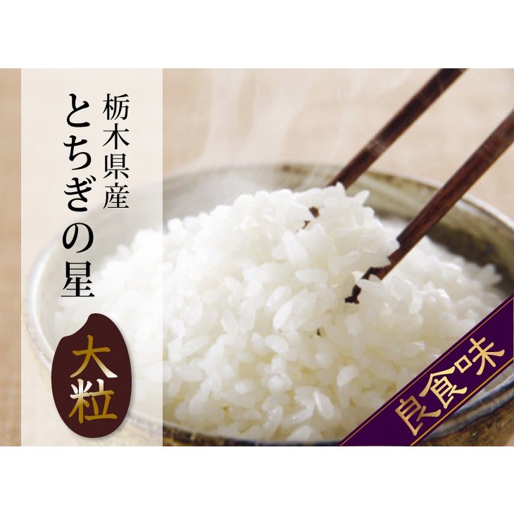 とちぎの星 栃木県産 20kg