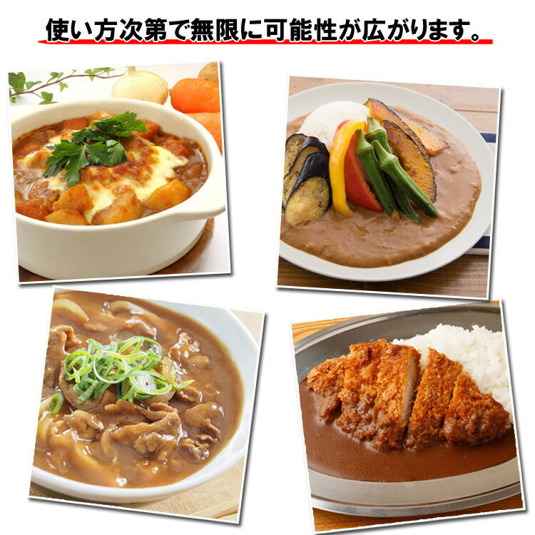 プロが愛する創味のカレー1kg