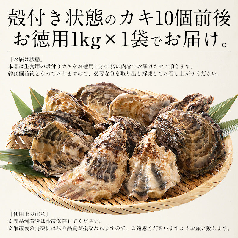 1kg(10個前後)牡蠣 生食用 殻付き
