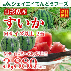 お中元 ギフト 送料無料 山形県産すいかMサイズ以上/1箱2玉いり ※一部地域は別途送料追加 e5