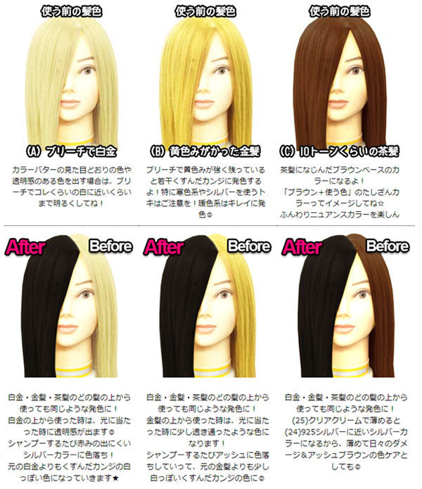 【20人シェア買いでお得】エンシェールズ カラーバター 200g ダークシルバー ヘアカラー トリートメント ヘアマニキュア ヘアケア クリップジョイント マニキュア インナーカラー ダメージヘア ブリーチヘアー