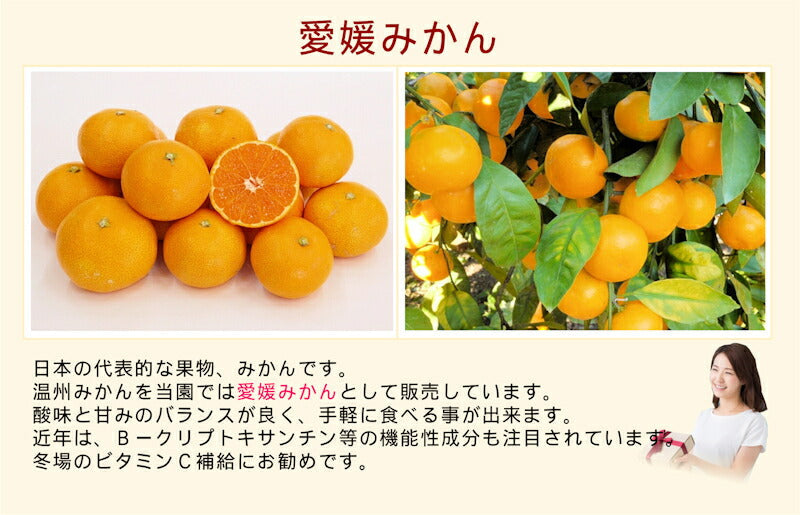 【フルーツ みかん 温州みかん】愛媛県 愛南町 みかん果樹園 吉田農園樹上完熟栽培 愛媛みかん 5kg B級品採りたてを農園から産地直送送料無料【ミカン 果実 ギフト 贈答品】