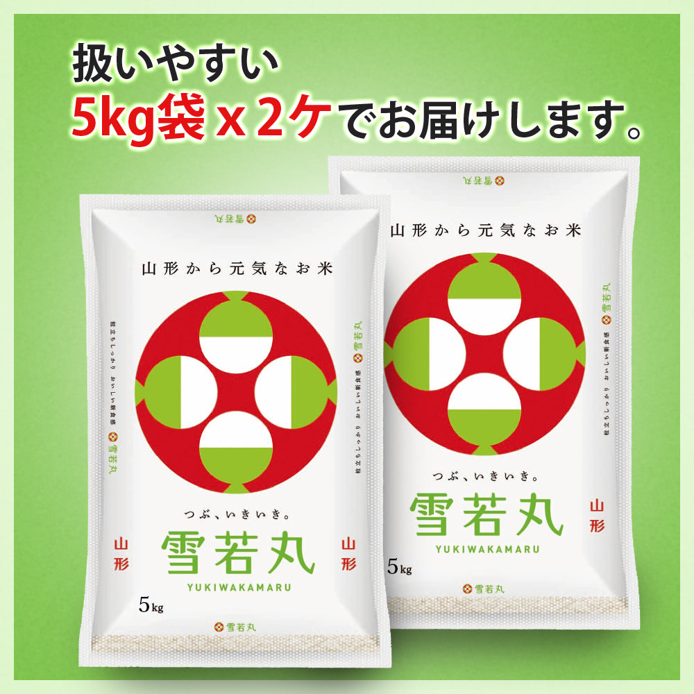 【限定クーポンで20%OFF】雪若丸 無洗米 10kg (5kg×2袋) 山形県産 令和3年産 送料無料 10キロ 米 こめ コメ お米 精米 新米