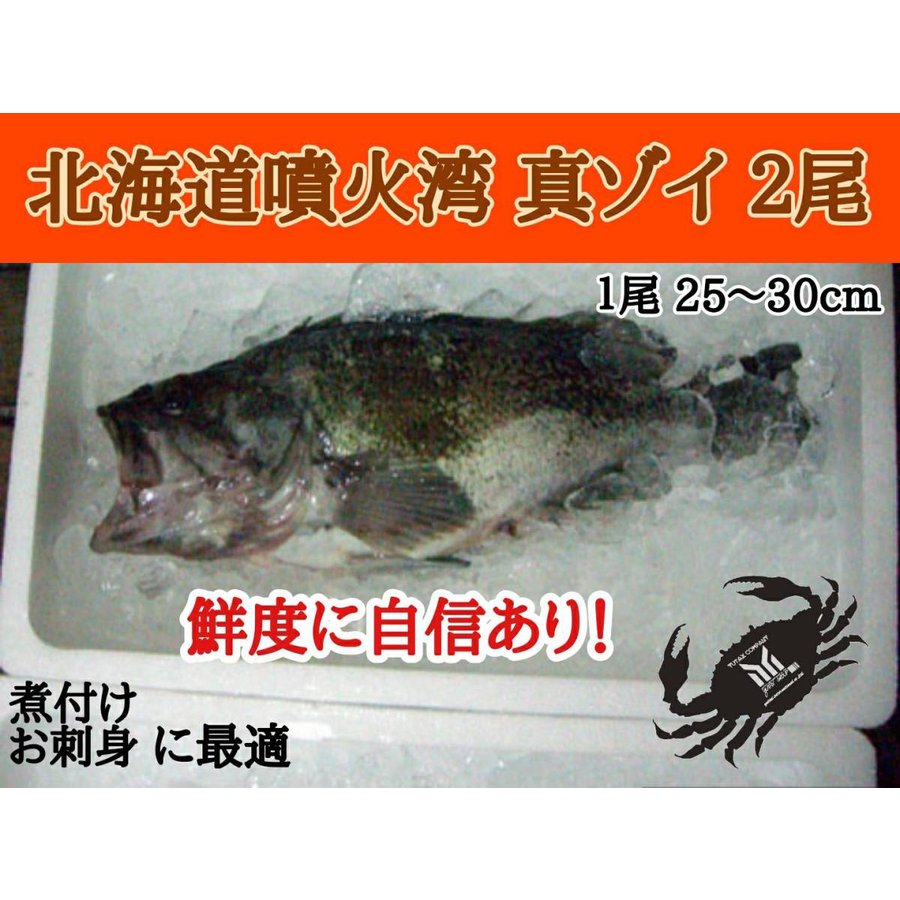 北海道噴火湾産 真ゾイ 2尾