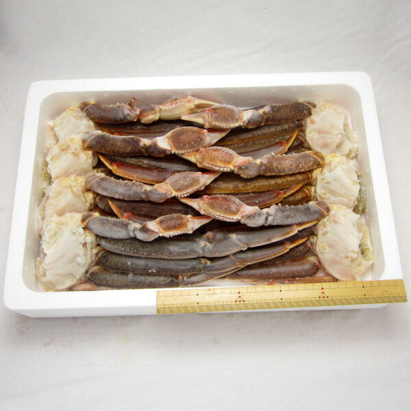【贈答用】かに カニ 蟹 ずわい 特大5L 生ずわい蟹 肩脚(セクション) たっぷり3kg 化粧箱入り 冷凍便 送料無料 お取り寄せグルメ 食品 ギフト 海鮮
