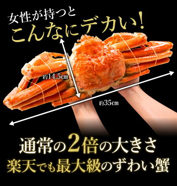 900g~1kg 本ズワイ蟹 姿