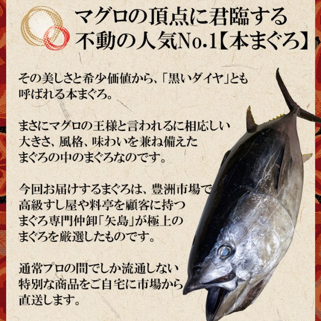 本マグロ中トロ200g 柵 豊洲市場直送