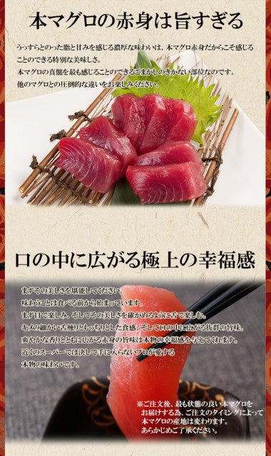 本マグロ赤身200g 柵 豊洲市場直送