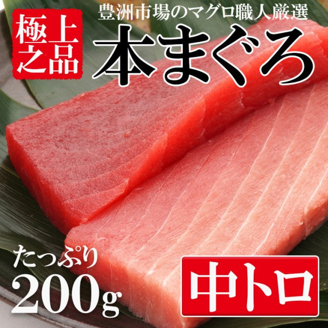 本マグロ中トロ200g 柵 豊洲市場直送