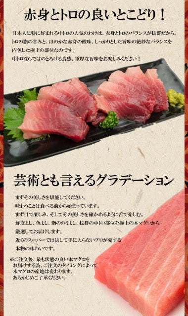 本マグロ赤身中トロ各200g 柵 豊洲市場直送