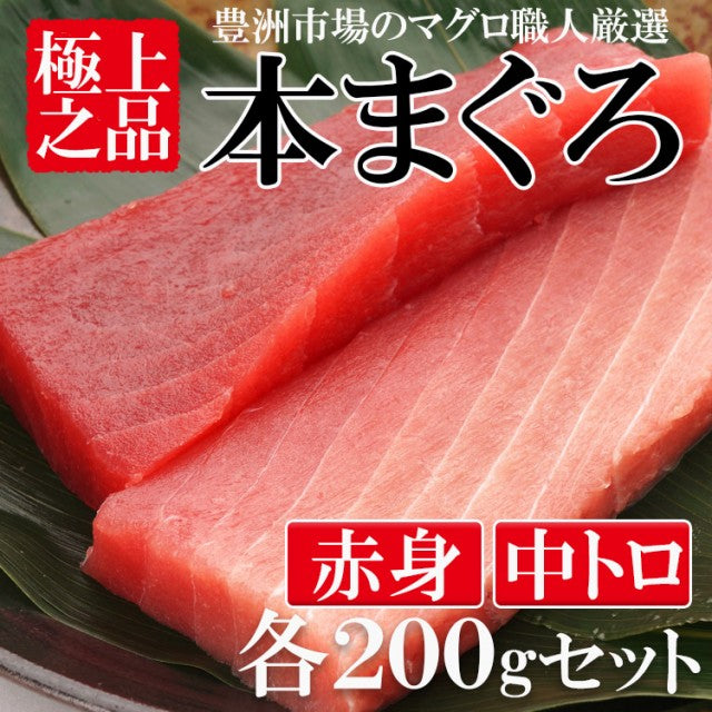 本マグロ赤身中トロ各200g 柵 豊洲市場直送