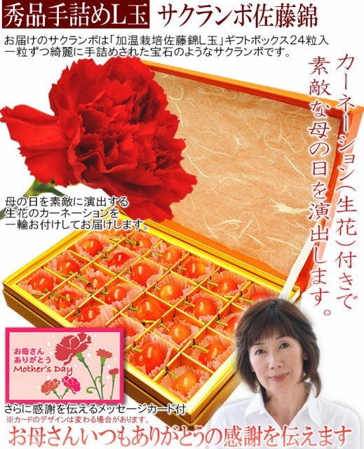 生産量わずか2%!!温室栽培さくらんぼ佐藤錦/秀品Lサイズ24粒/生カーネーション&カード付/ha