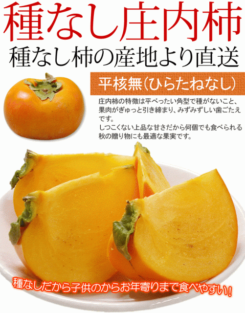 【特別セール価格】10kg(5kg×2箱) 山形産たねなし庄内柿訳あり バラ詰め
