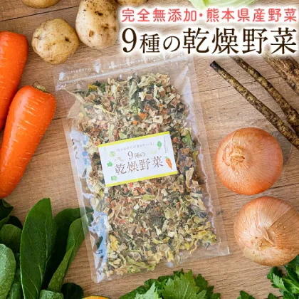 9種の国産野菜 乾燥野菜 完全無添加 完全国産 熊本県産 100g 野菜セット スープ 味噌汁 インスタント やさい 栄養 ドライベジ エアドライ 野菜 詰め合わせ 健康 ブドウ糖不使用《3-7営業日以内に発送予定(土日祝日除く)》
