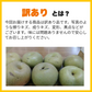 梨 訳あり（豊水・秋月・新高・愛宕など）約5kg（約5～24玉）送料無料【ゲリラセール】