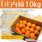 【特別セール価格】10kg(5kg×2箱) 山形産たねなし庄内柿訳あり バラ詰め