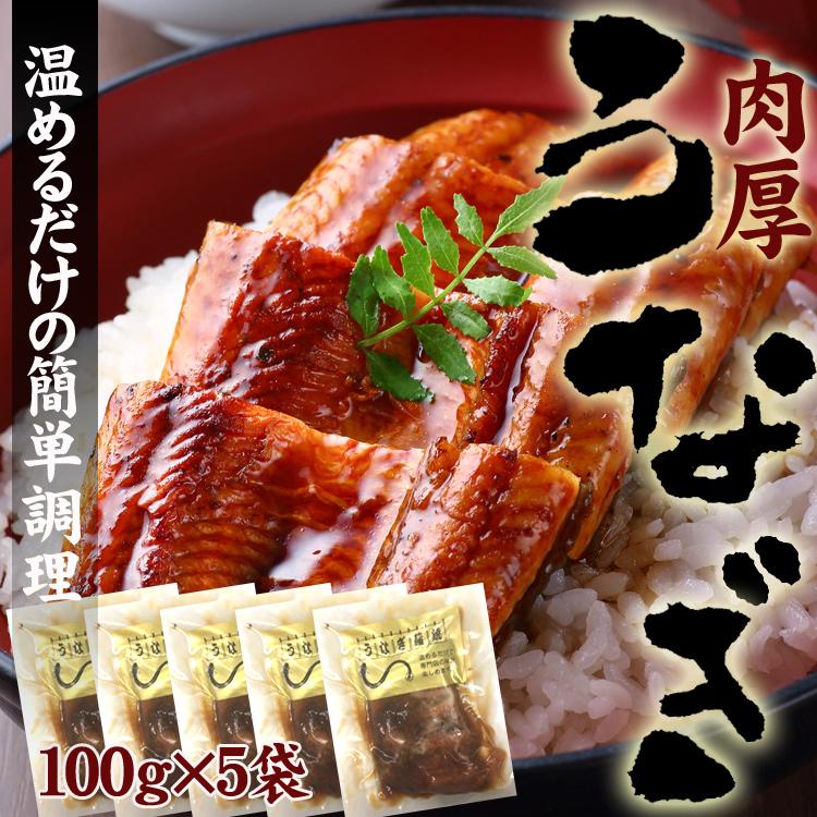 うなぎ蒲焼（500g） 温めるだけ うなぎ蒲焼 １００g×５袋入り
