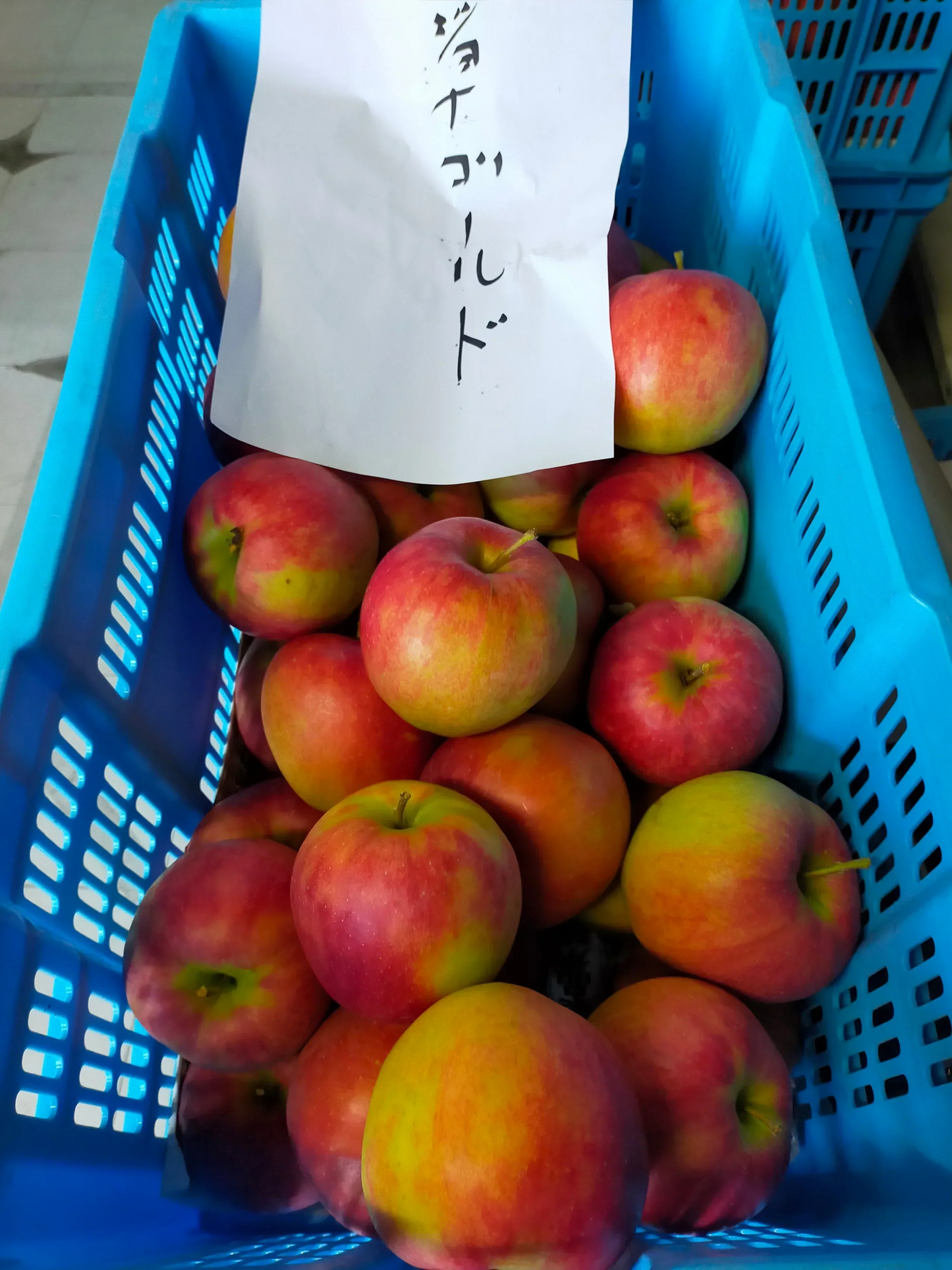 青森りんご サンジョナゴールド 甘味と酸味があり濃厚な味わい,柔らかめ, アップルパイやジャム、焼きりんごなどにも最適です。訳あり, 1箱約3㎏（約８個～変動あり)佐川急便【6116】