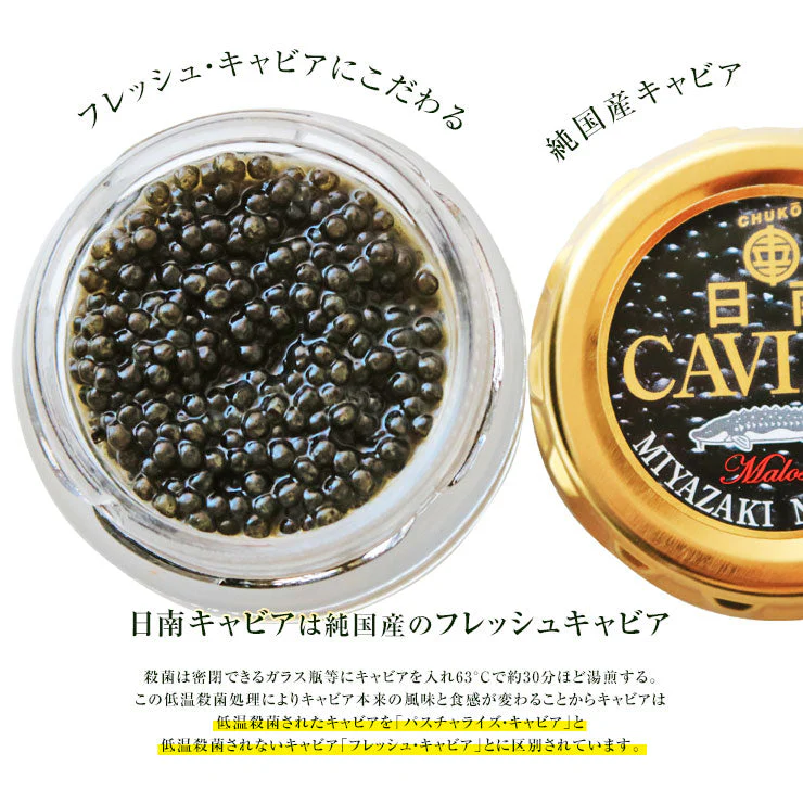 国産キャビア 宮崎県産 フレッシュキャビア  日南キャビア(きゃびあ) 100g 化粧箱入り 冷凍