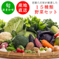 野菜 おまかせ 15種類 詰め合わせ　送料無料