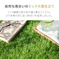 フレッシュグリーン 人工芝 ロール 1m×10m 芝丈35mm 送料無料 人工芝 芝生マット 人工芝生 人工芝マット 人工芝ロール 芝生 ロールタイプ 固定ピン 庭　　　　　 ベランダ テラス バルコニー ガーデニング ガーデン