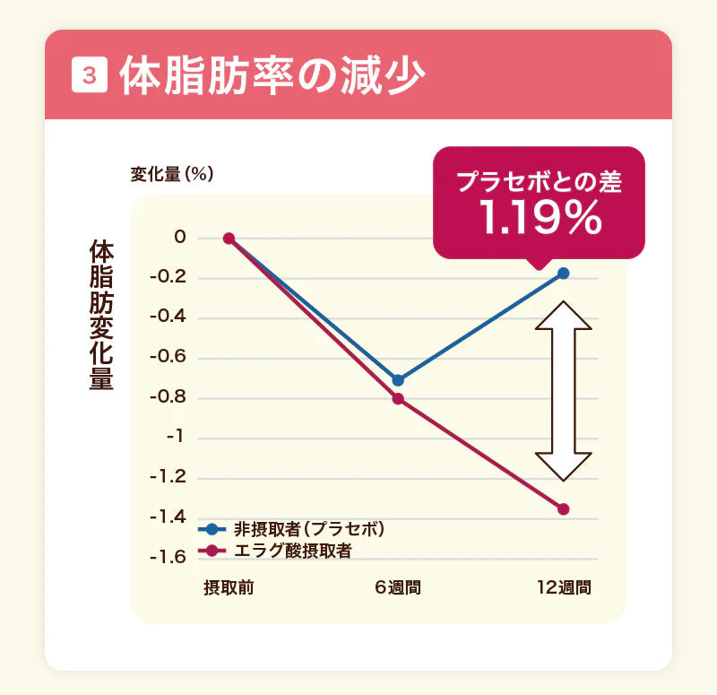 【最短当日出荷】機能性表示食品 プーアール茶 ヘルシーボ 30個入 ( 肥満気味の方 体重 ウエスト 体脂肪 血中中性脂肪 BMI 内臓脂肪 サポート エラグ酸 ザクロ エキス ダイエット サポート ダイエット茶 健康茶 ティーバッグ ティーライフ )